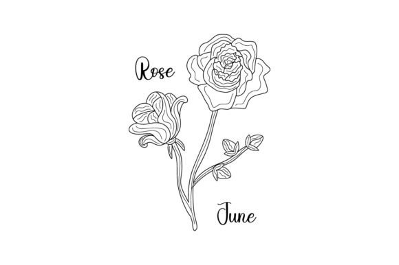 Birth Month Flowers - June Rose Embroidery Review